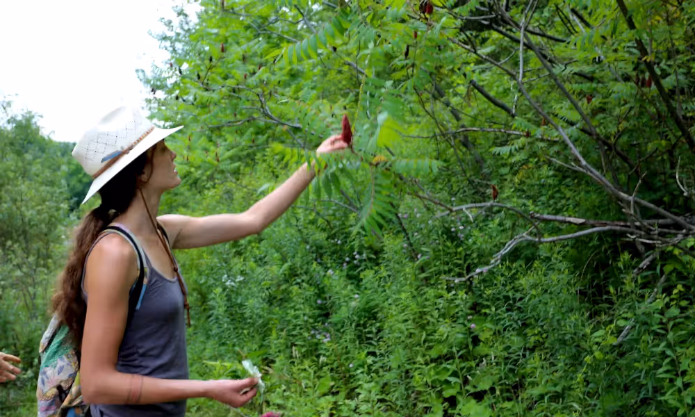 Nature Observation Walk