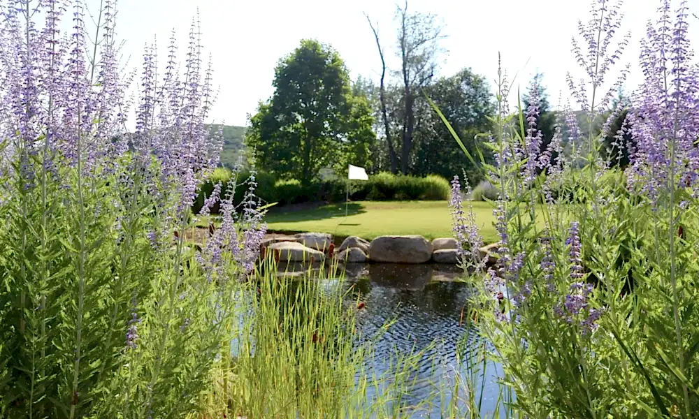 Flowers along the putting course at Grand Cascades Lodge