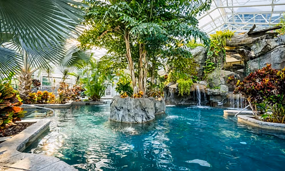 Biosphere pool complex