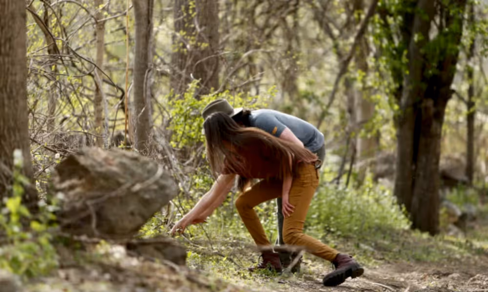 Couple foraging wild plants on trail in the woods at Crystal Springs Resort