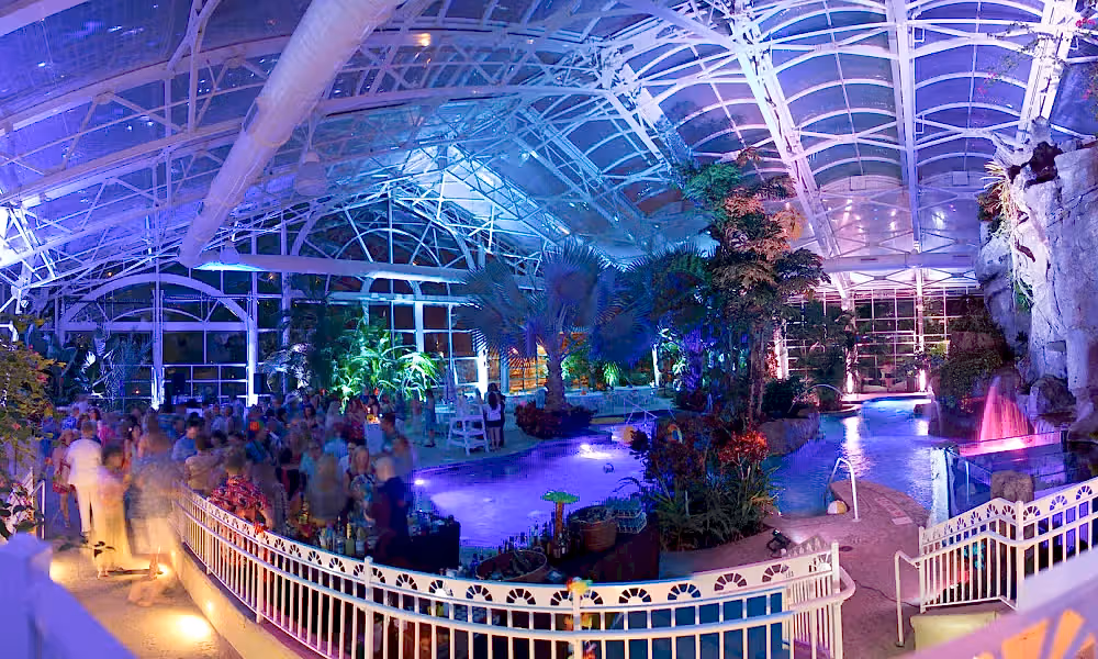 Party at Biosphere Pool