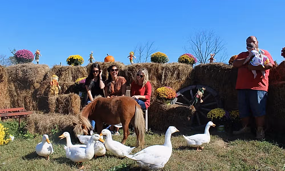 Animal Experience teambuilding activity at Crystal Springs Resort
