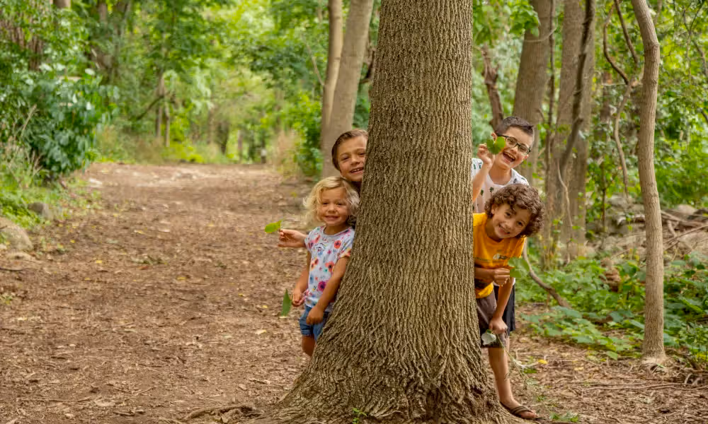 Four children peeking out from behind large tree.