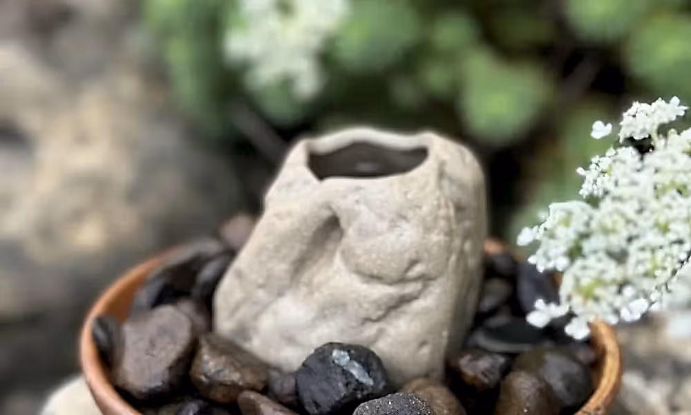 On The Rocks Tequila Libation