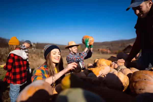 Group of adults picking pumpkins