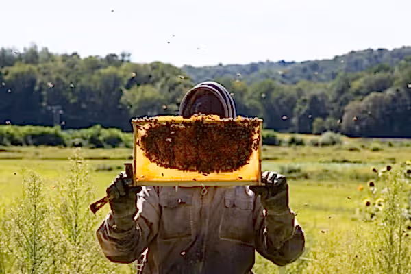 Beekeeper at Crystal Springs Resort