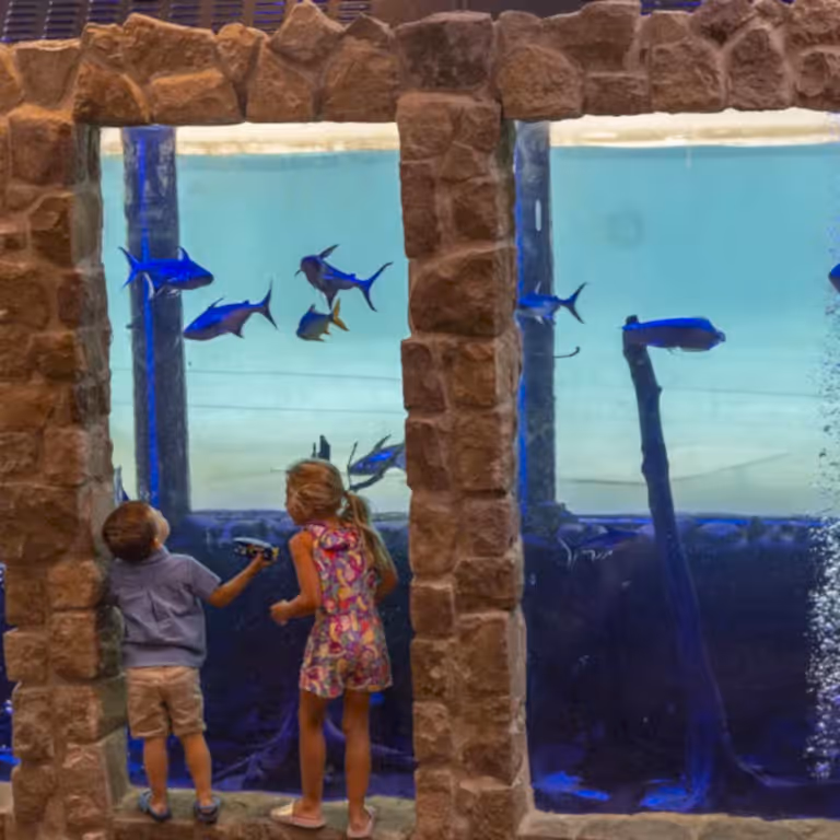 Children standin next to Minerals Hotel aquarium.