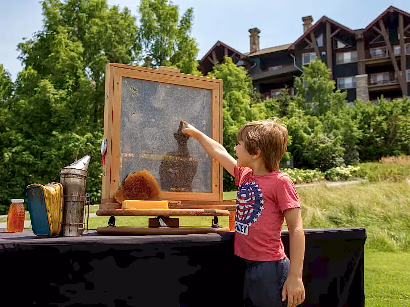 Young child pointing at beehive.